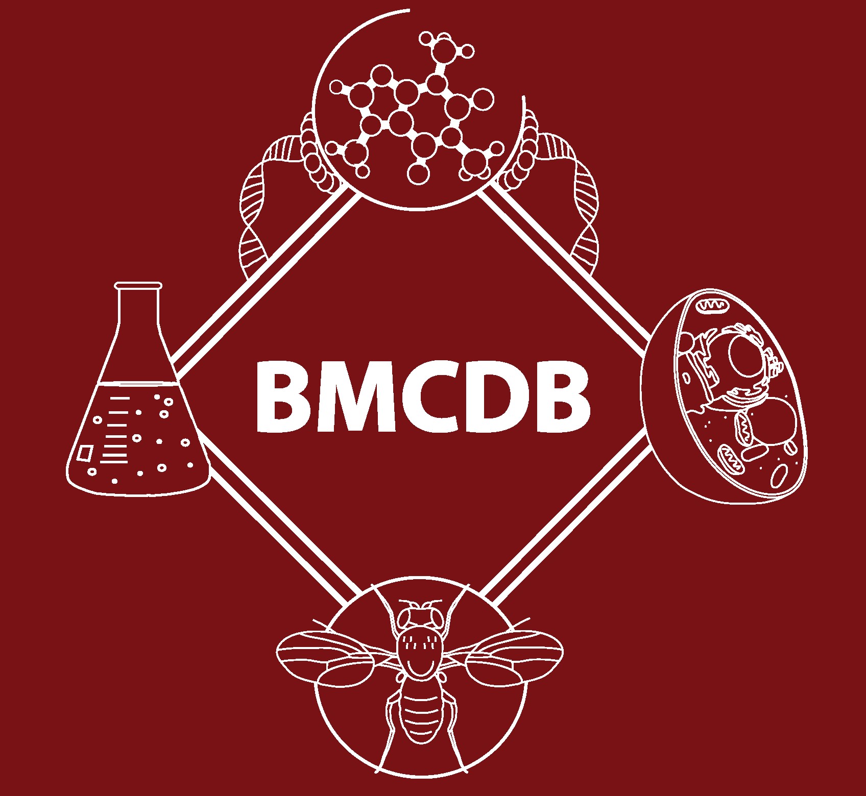 Students Bmcdb Graduate Group